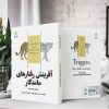 آفرینش رفتارهای ماندگار (کتاب الکترونیک) - تصویر 2