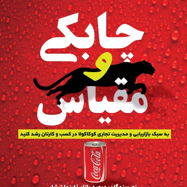 چابکی و مقیاس (کتاب الکترونیک)